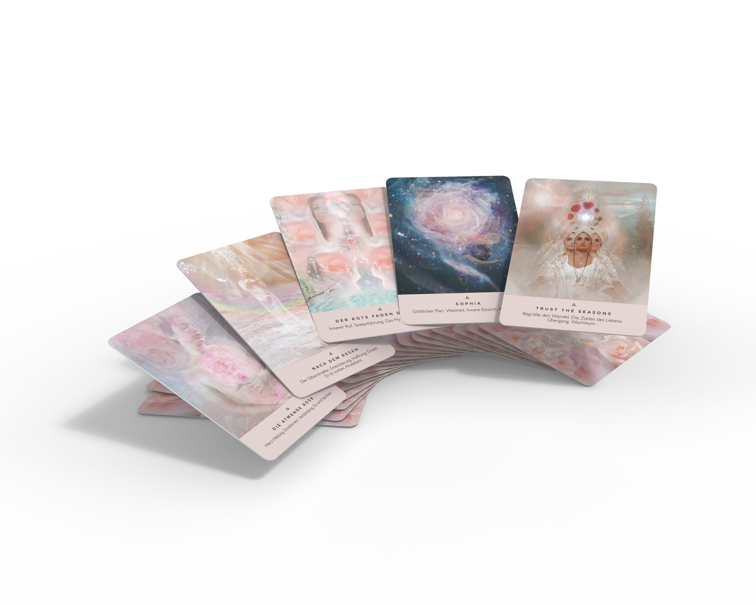 Das Orakel der Rose – Bild 2