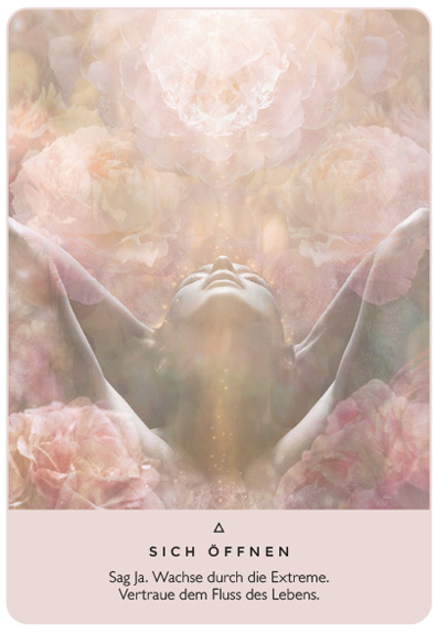 Das Orakel der Rose – Bild 3