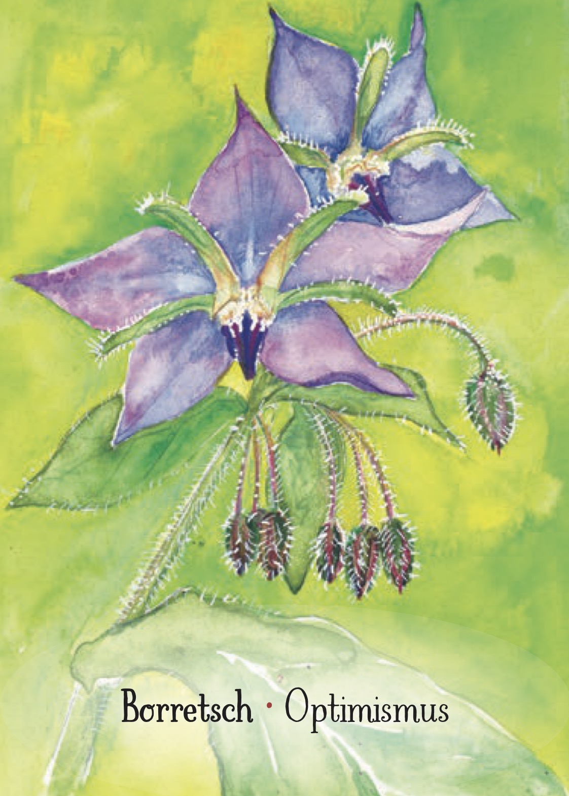 Soulflower – Bild 2