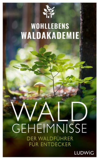 Wald Geheimnisse