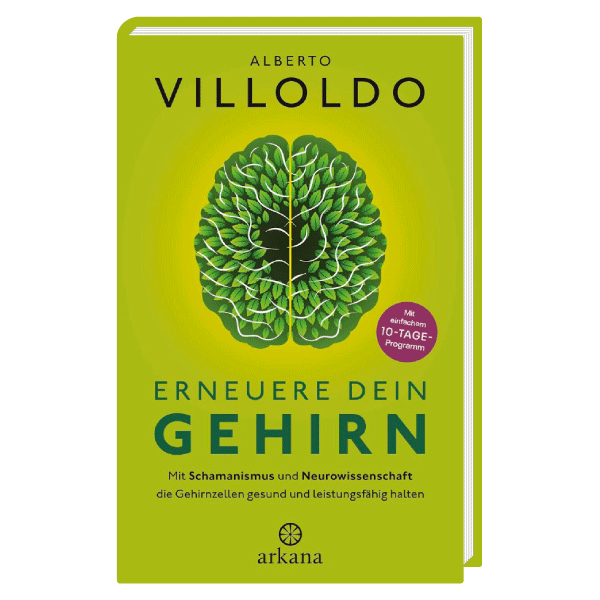 Erneuere Dein Gehirn